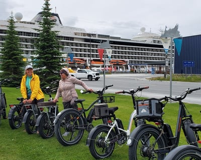 Self-Guided Valdez E-Bike Tour