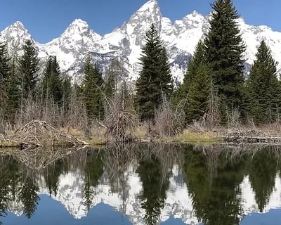 Grand Teton Private Day Tour from Pinedale