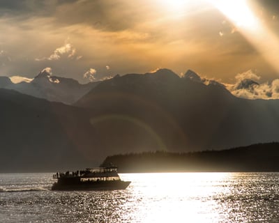 Evening Whale Watching Cruise in Juneau