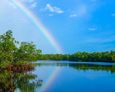 Rookery Bay Eco-Cruise with Biologist Guide