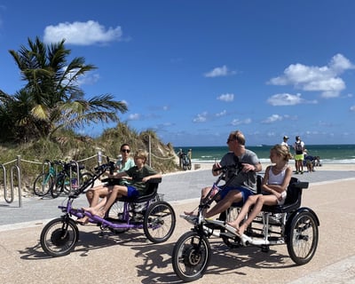 Electric Side By Side Bike Rentals