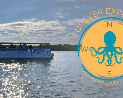 Naturalist Boat Tour in New Smyrna Beach
