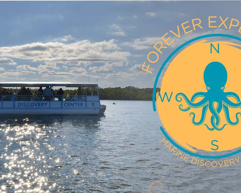 Naturalist Boat Tour in New Smyrna Beach
