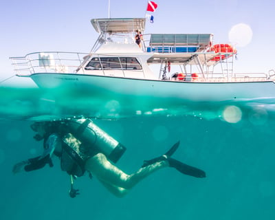PADI Specialty Diving Course in Fajardo