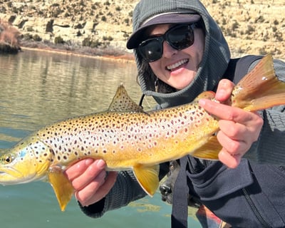 San Juan River Full-Day Guided Fly Fishing Float