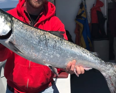 Salmon & Bottomfish Fishing Charter in Westport