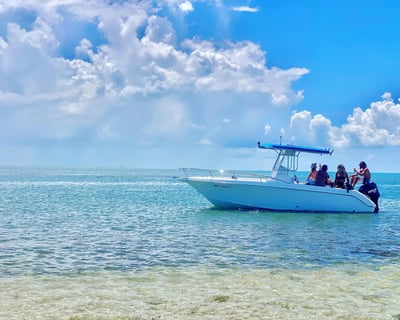Cruise to Local Sandbars & Islands on a Private Charter