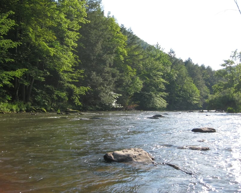 Guided Walk & Wade Trout Fishing in State College