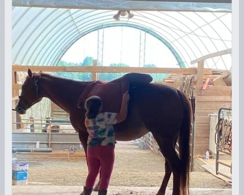 Arena Practice with Your Own Horse in Appomattox