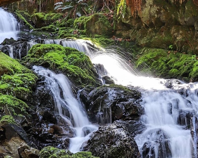 3-Waterfall Hike & Swimming Hole in Parksville, NY