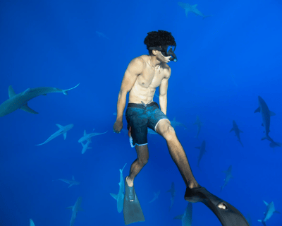 Open Ocean Shark Snorkel with Researchers