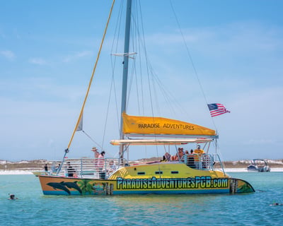 Shell Island Snorkeling & Dolphin Cruise In Panama City Beach