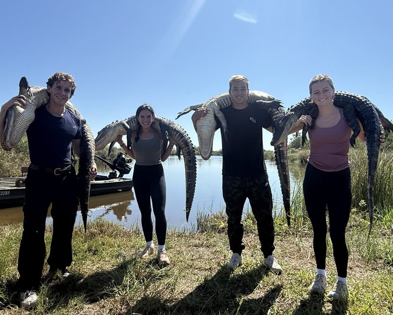 Guided Bayou Alligator Hunt in Chalmette Near New Orleans