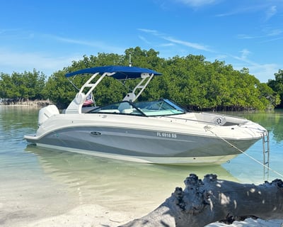 Sea Ray 250 SDX Charter in Key West
