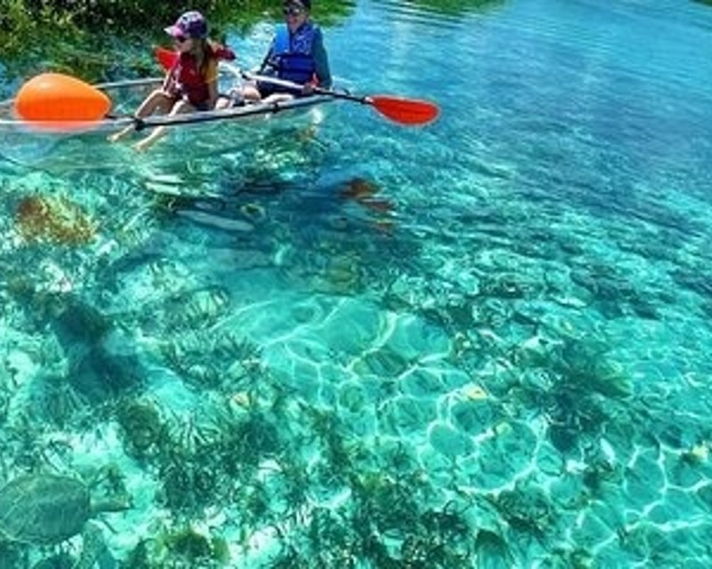 5-Hour Clear Kayak Rental at KP Hole Park