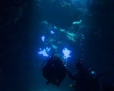 Lanai Cathedrals Scuba Diving Charter