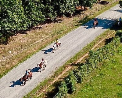 Private Guided Horseback Ride in Romance