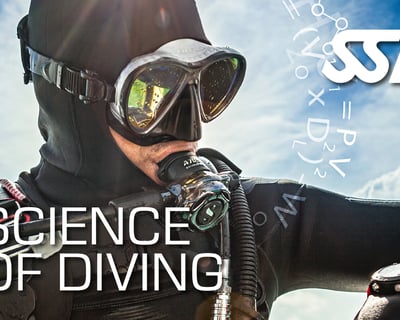 Science of Diving Course in Ramrod Key