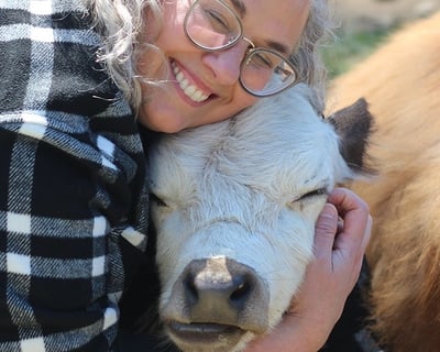 Private Cow Cuddles Farm Tour in Kent