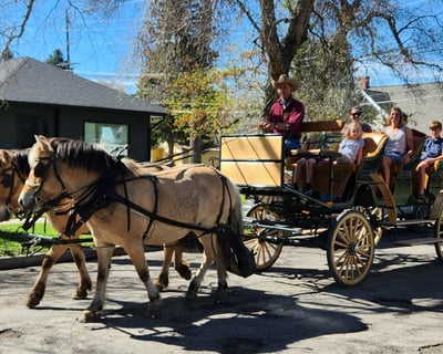 Bozeman Historic District Horse-Drawn Carriage Ride