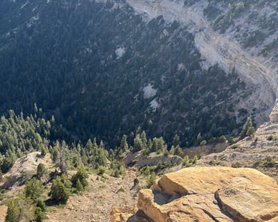 Guided Hike & Wildlife Drive in Alton