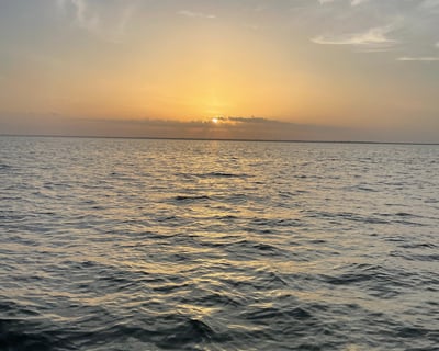 3-Hour Gulf Coast Sunset Cruise