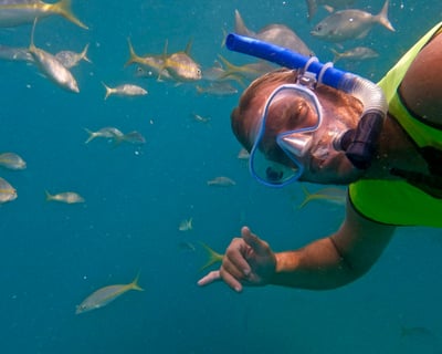 Private Guided Snorkeling Tour in Honolulu