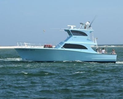 Orange Beach Private Bottom Fishing Charter