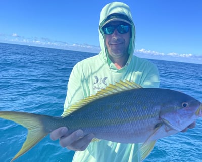 Key Largo Yellowtail Snapper Fishing Charter