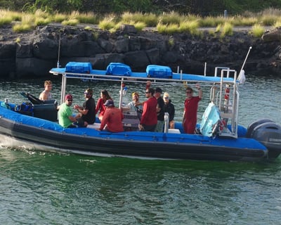 2.5-Hour Guided Snorkel Safari in Kailua-Kona