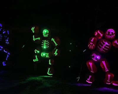 Branson Pumpkin Walk