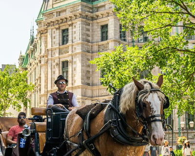 2-Hour Private Walking Tour of Québec City