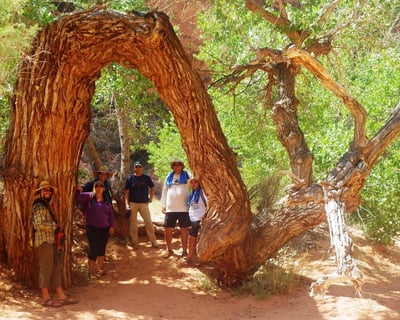 Labyrinth Canyon Multi-Day SUP Adventure