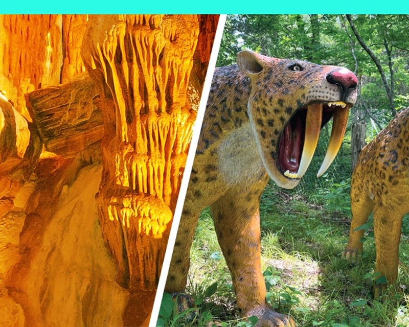 Crystal Cave Tour & Dino Trail in Springfield, MO
