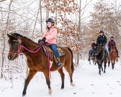Ride a 2-Mile Horseback Trail in Noblesville