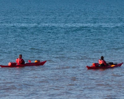 3-Hour Kayak Rental in Pinckney