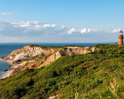 Martha's Vineyard Private Tour: Cliffs & Villages