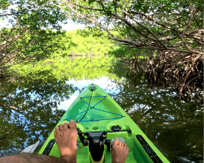 Neal Preserve 2-Hour Pedal Kayak Tour