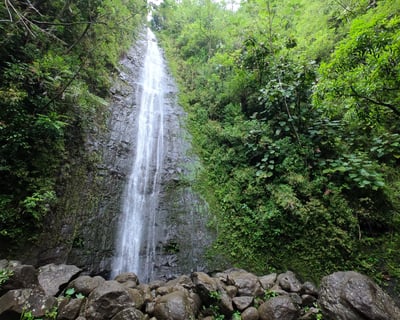Oahu Waterfall Hike and Downhill Bike