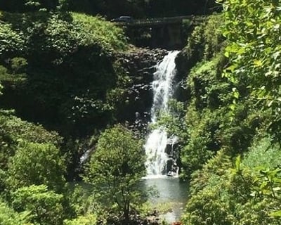 Half-Day Hana Rainforest Luxury Expedition