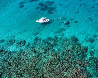 Private Palomino Island Snorkeling Charter