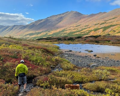 Full-Day Private Guided Hike in Anchorage