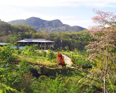 7-Hour Tour of Vallarta Botanical Gardens