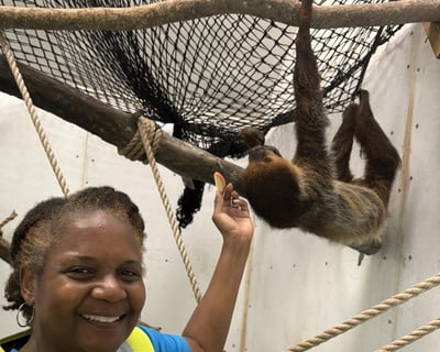 30-Minute Sloth Encounter in Lilburn