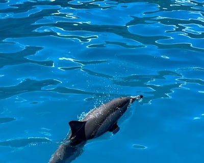 Na Pali Coast Deluxe Morning Power Catamaran Tour