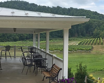 Charlottesville Wine & Cider Tour
