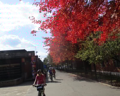 Boston Emerald Necklace Bike Tour
