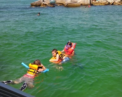 Dolphin Snorkeling Tour at Shell Key Preserve