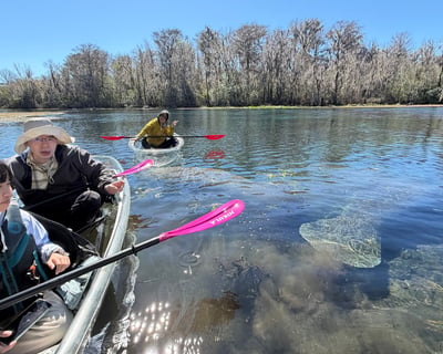 Private Guided Silver River Tour