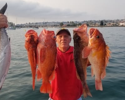 8-Hour San Diego Inshore & Offshore Fishing Charter